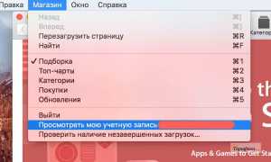 Как узнать Apple iD с помощью PP25. Где взять Apple ID или как получить идентификатор для iPhone и iPad Как получить полную информацию по apple id
