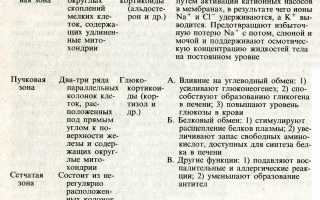 Болезни надпочечников у женщин: симптомы и лечение. “Болезни надпочечников у женщин — функции, основные симптомы и схемы лечения” За что отвечает правый надпочечник
