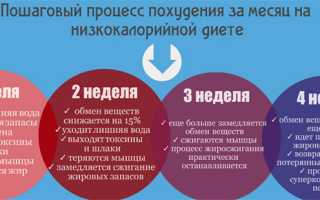За сколько похудеешь если. На сколько можно похудеть за месяц