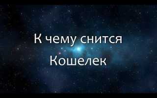 К чему снится украли кошелек из сумки. К чему снится, что у меня украли кошелёк? Сонник – Бумажные деньги