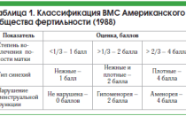 Синехии в матке на узи. Внутриматочные синехии