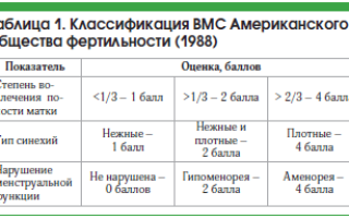 Синехии в матке на узи. Внутриматочные синехии