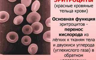 По какой причине меняется кровь. Возможно ли изменение группы крови в течение жизни? Беременность и роды: возможны ли изменения