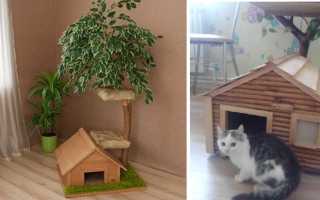 Как сделать самому кошкин дом. Как построить домик для кошки