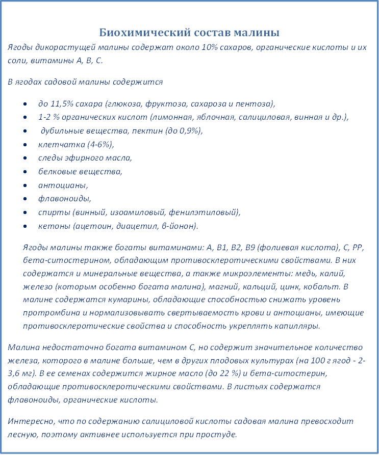 биохимический состав малины