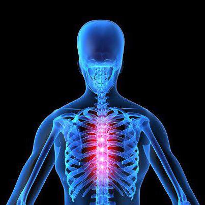 болит спина посередине позвоночника