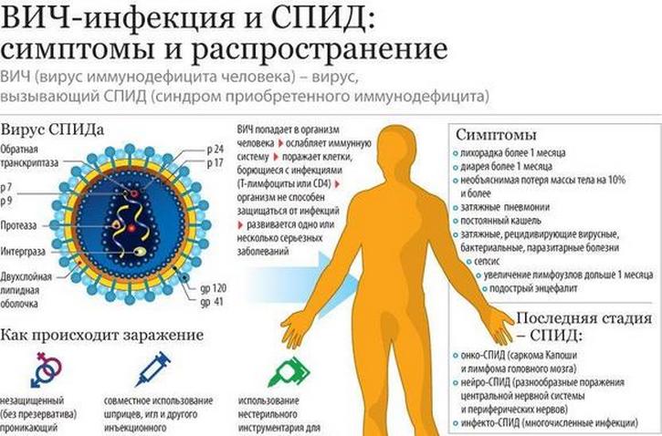 Основные симптомы ВИЧ-инфекции и СПИД Симптомы ВИЧ - инфекции и СПИД