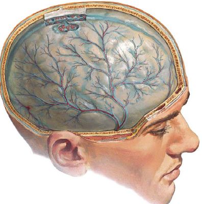 У меня болит спина и температура