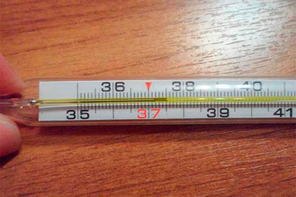 Температура тела 37,5 при ЭКО беременности