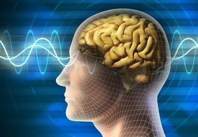 Почему у человека слабость болит голова